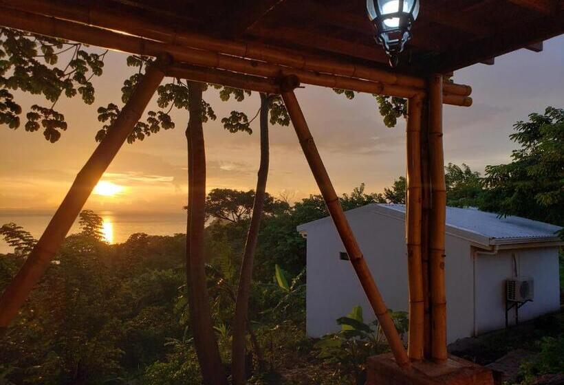 اتاق استاندارد با چشم‌انداز دریاچه, The Jungle