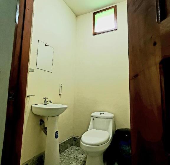 اتاق استاندارد چهارنفره با چشم‌انداز باغ, The Jungle