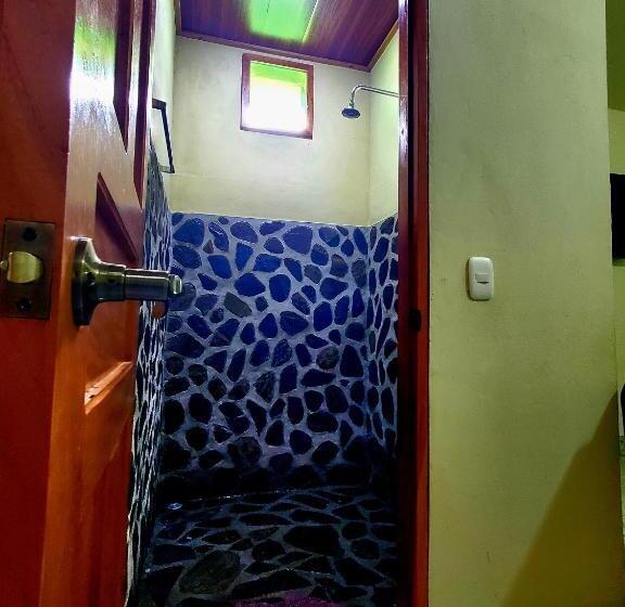 اتاق استاندارد چهارنفره با چشم‌انداز باغ, The Jungle