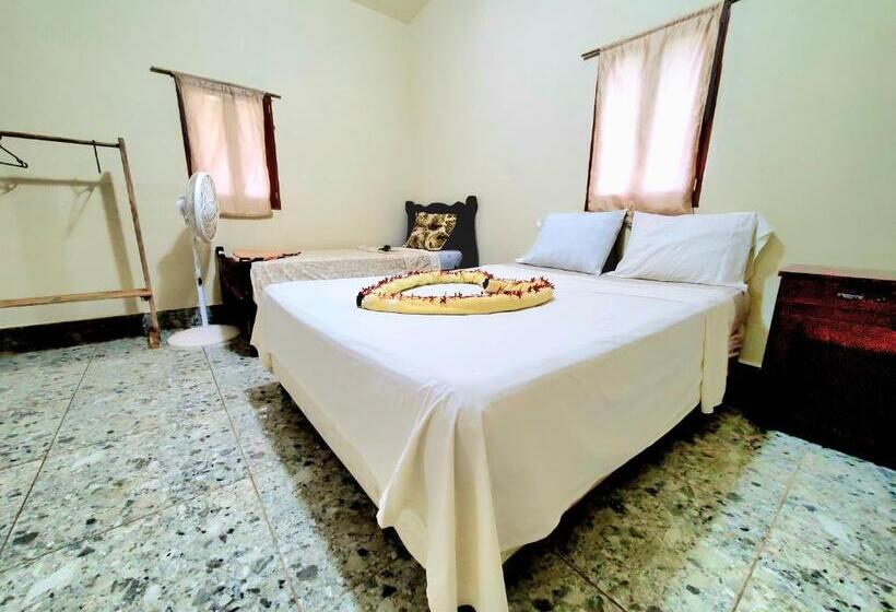 اتاق استاندارد چهارنفره با چشم‌انداز باغ, The Jungle