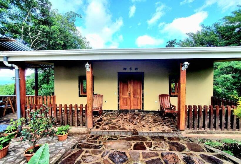 اتاق استاندارد چهارنفره با چشم‌انداز باغ, The Jungle