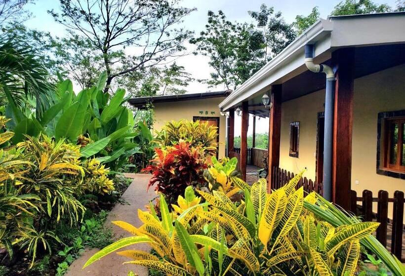 اتاق استاندارد چهارنفره با چشم‌انداز باغ, The Jungle