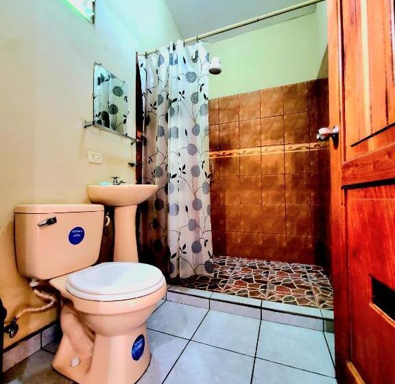 اتاق استاندارد چهار تخته, The Jungle