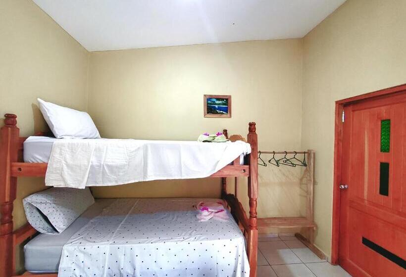 اتاق استاندارد چهار تخته, The Jungle