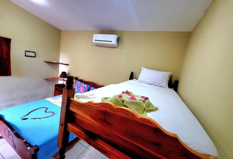 اتاق استاندارد چهار تخته, The Jungle