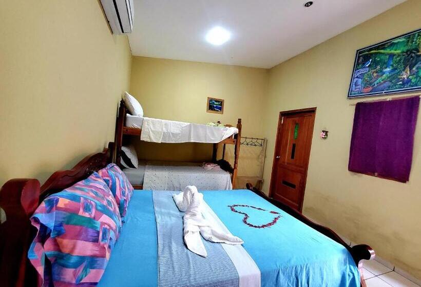 اتاق استاندارد چهار تخته, The Jungle