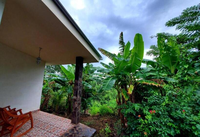 اتاق استاندارد چهار تخته, The Jungle