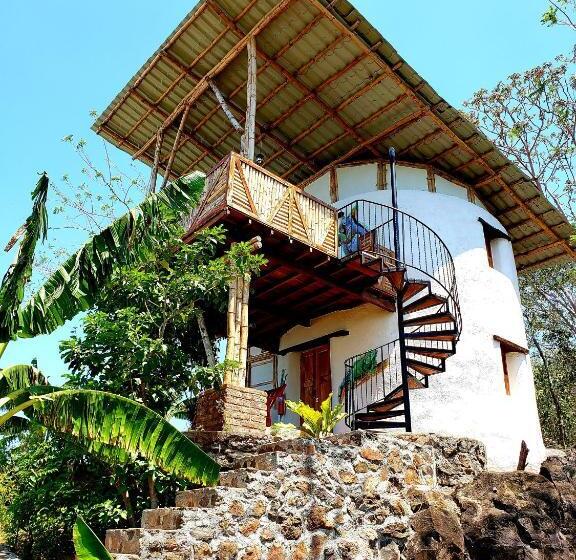 اتاق استاندارد با چشم‌انداز دریاچه, The Jungle