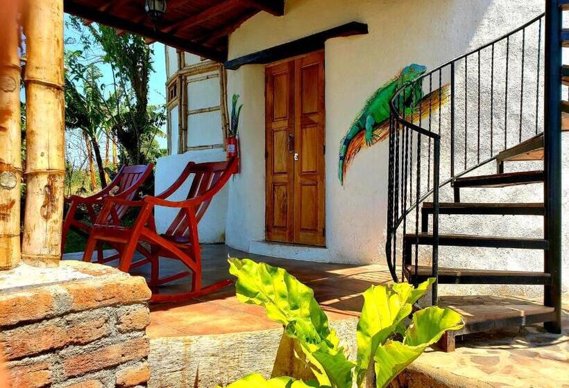 اتاق استاندارد با چشم‌انداز دریاچه, The Jungle