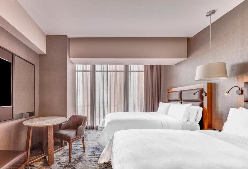 デラックスルーム, Fiesta Americana Viaducto Aeropuerto