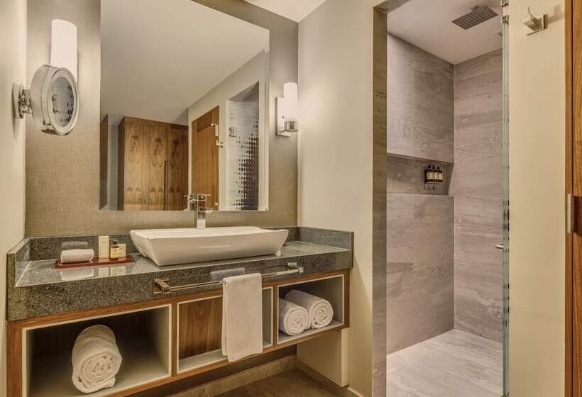 デラックスルーム, Fiesta Americana Viaducto Aeropuerto