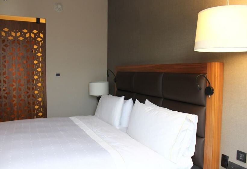 デラックスルーム, Fiesta Americana Viaducto Aeropuerto