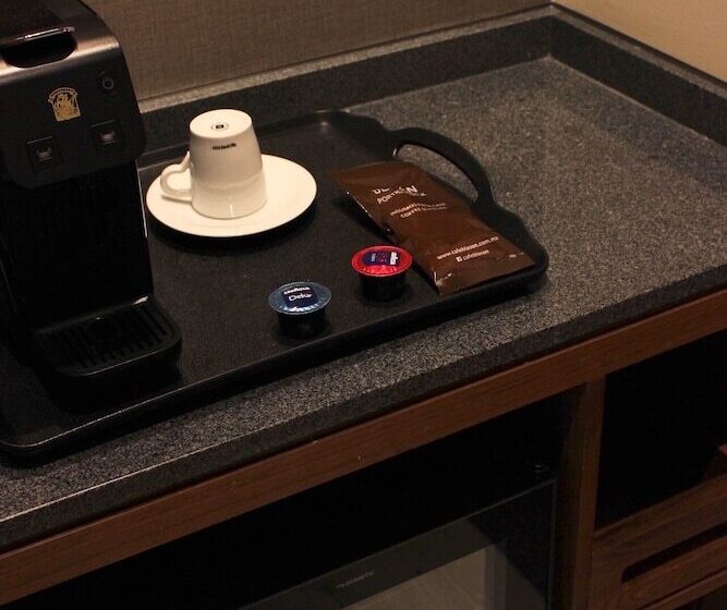 デラックスルーム, Fiesta Americana Viaducto Aeropuerto