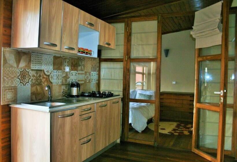 آپارتمان 1 خوابه با تراس, Résidence Le Hublot