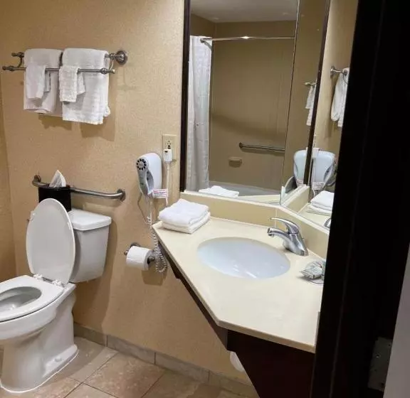 身障者適用クイーンサイズベッドルーム, Baymont By Wyndham Monroe Ohio