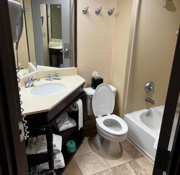 带大床的标准间, Baymont By Wyndham Monroe Ohio