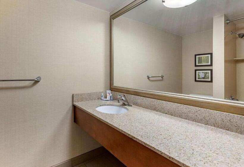 Номер Стандарт 2 Двуспальные Кровати, Comfort Inn