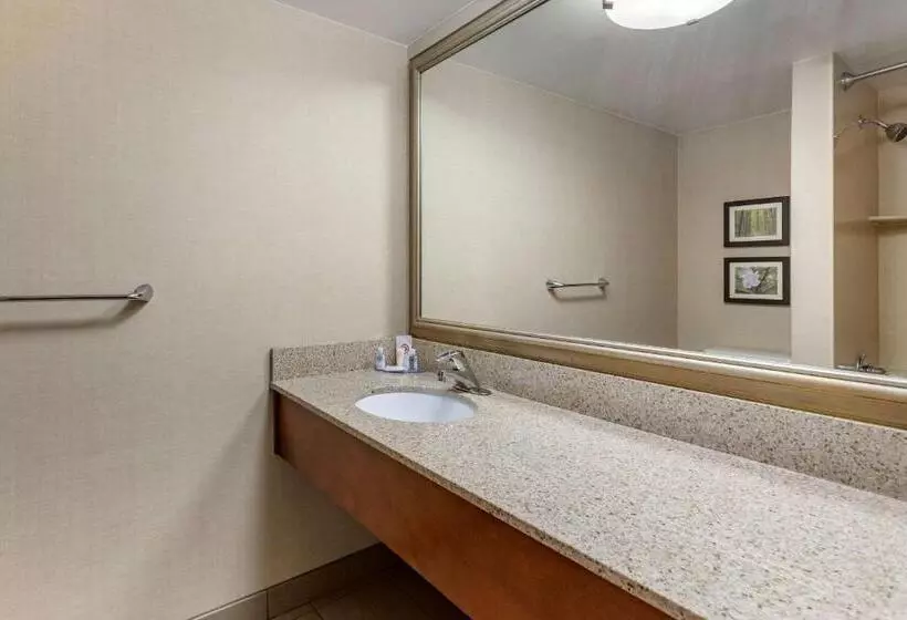 اتاق استاندارد با 2 تخت دوبل, Comfort Inn