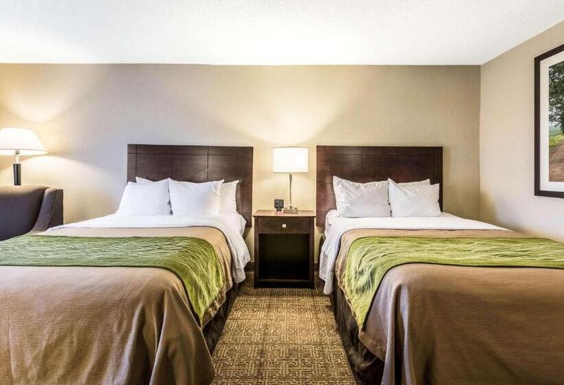 غرفه قياسيه سريرين مزدوجين, Comfort Inn