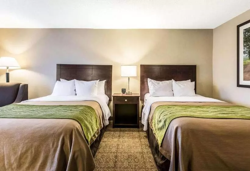 اتاق استاندارد با 2 تخت دوبل, Comfort Inn