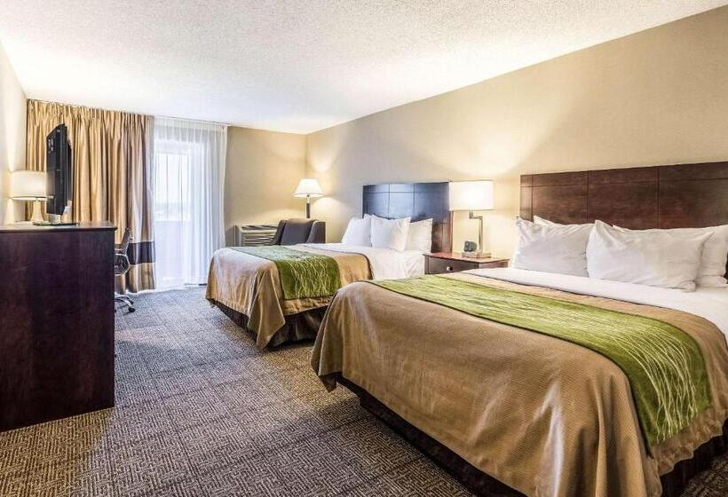 غرفه قياسيه سريرين مزدوجين, Comfort Inn
