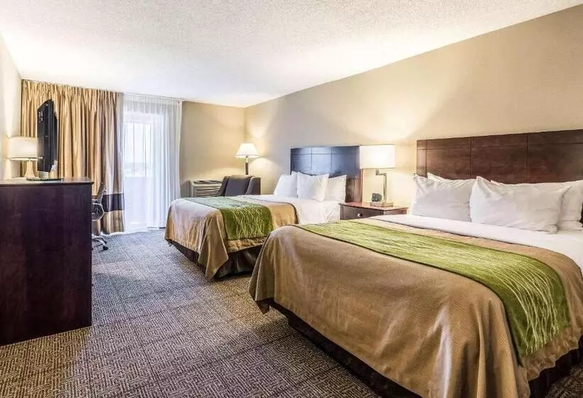 اتاق استاندارد با 2 تخت دوبل, Comfort Inn