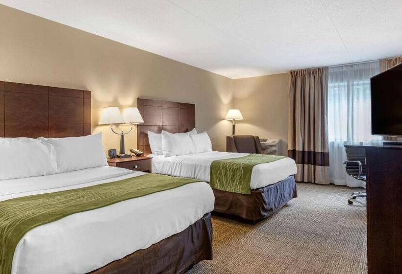 غرفه قياسيه سريرين مزدوجين, Comfort Inn