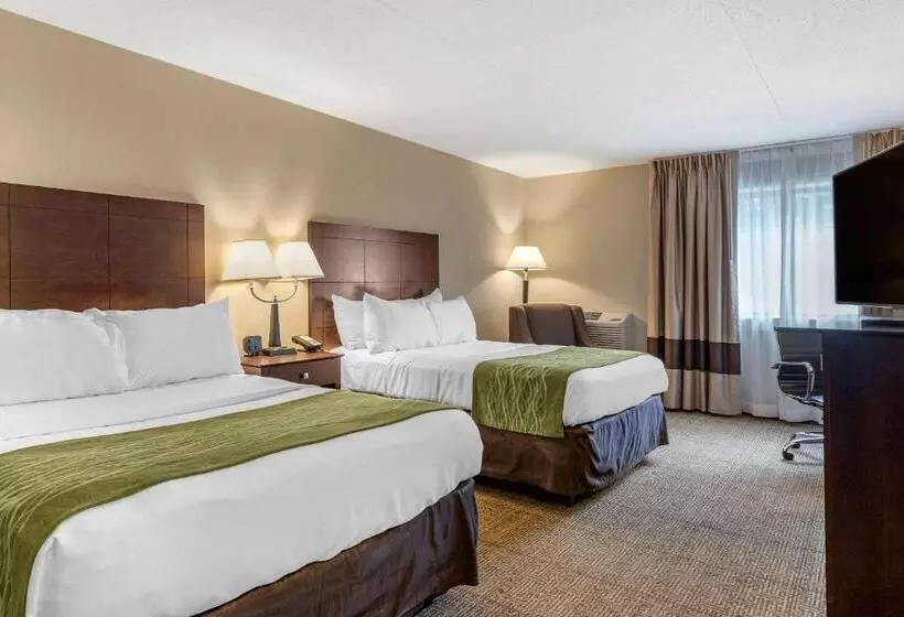 اتاق استاندارد با 2 تخت دوبل, Comfort Inn