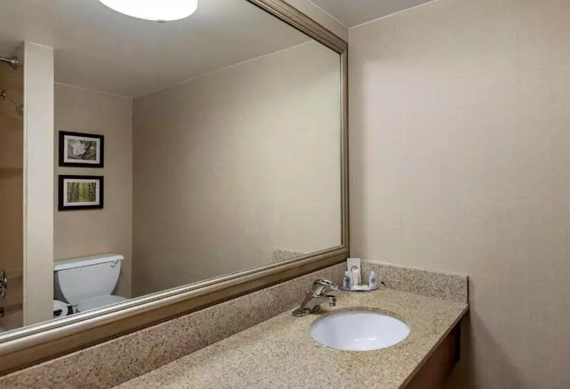 اتاق استاندارد با تخت بزرگ, Comfort Inn