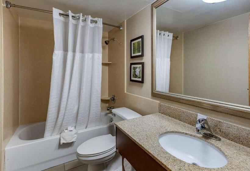 غرفة قياسية سرير كينج, Comfort Inn