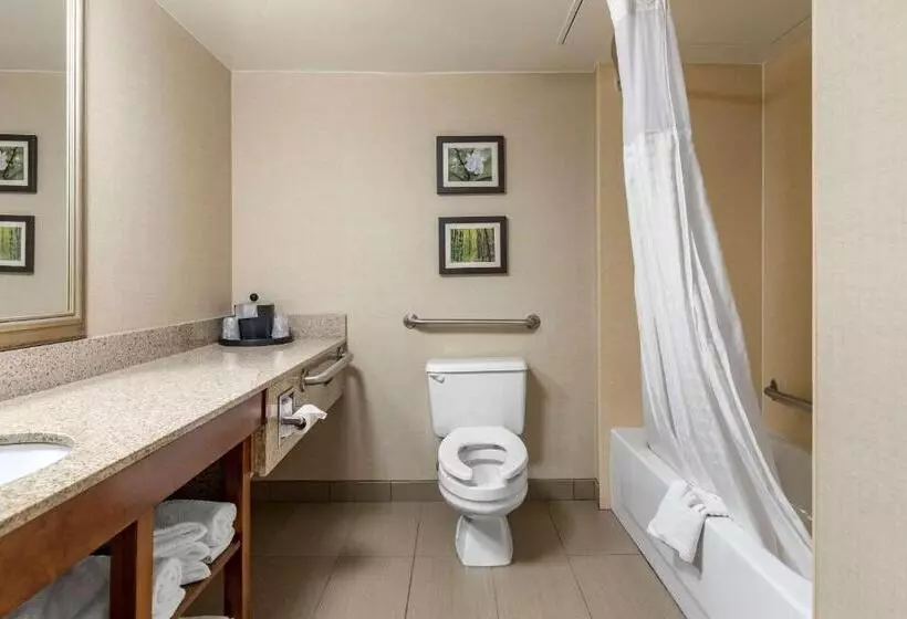 اتاق استاندارد برای معلولان, Comfort Inn