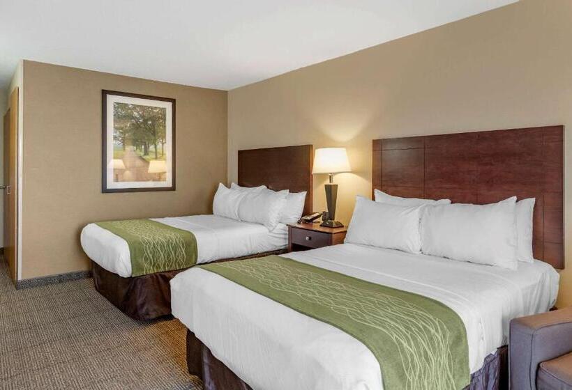 غرفة قياسية لذوى الاحتياجات الخاصة, Comfort Inn