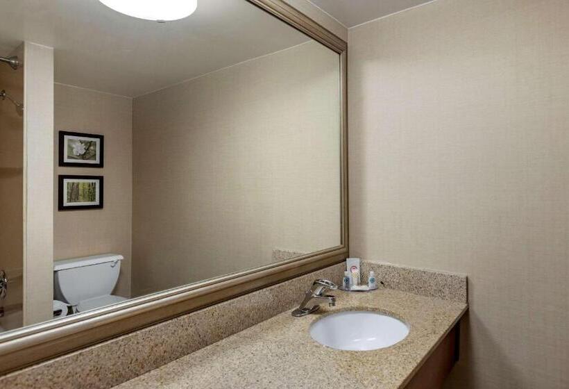 Номер Стандарт Кровать Кинг Адаптированный для Инвалидов, Comfort Inn
