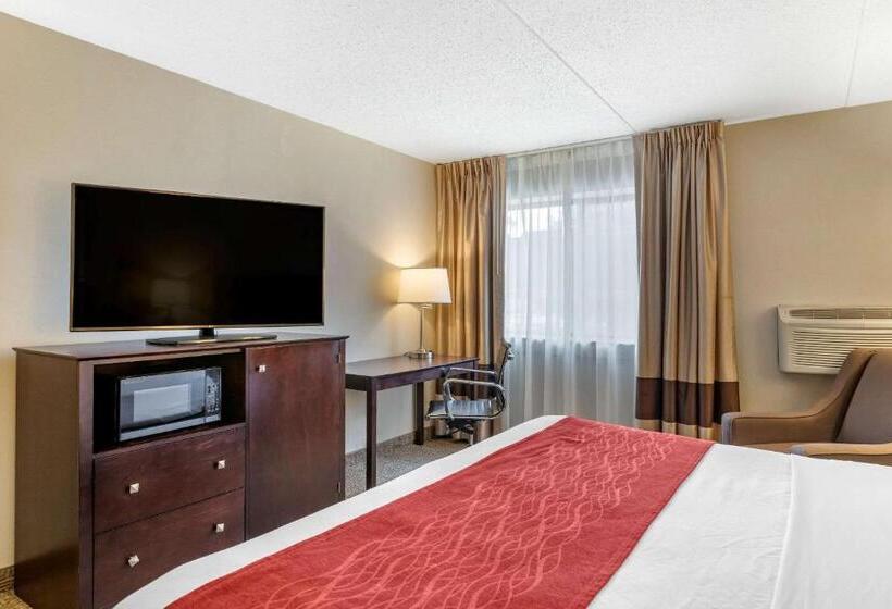 غرفة قياسية سرير كينج لذوى الإحتياجات الخاصة, Comfort Inn