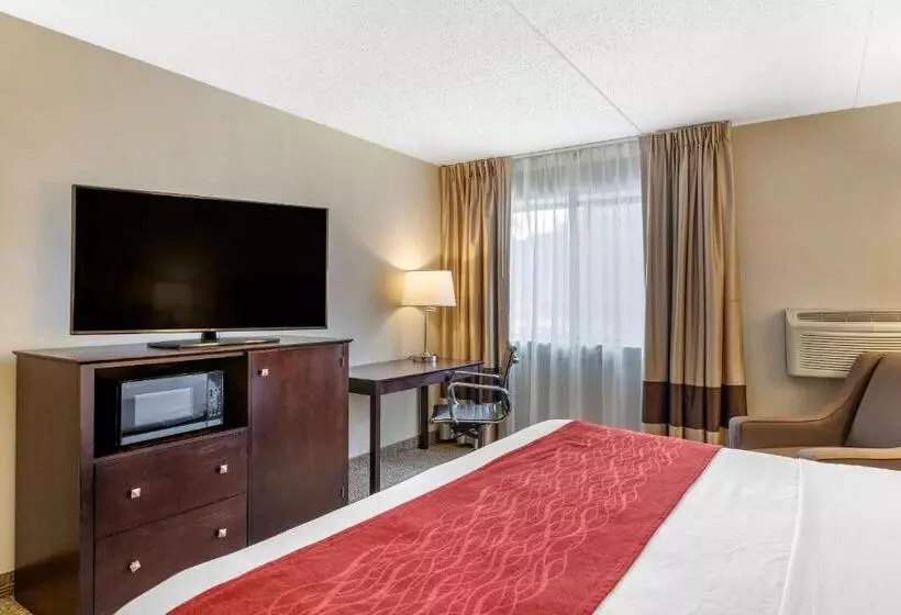 اتاق استاندارد با تخت بزرگ برای معلولان, Comfort Inn