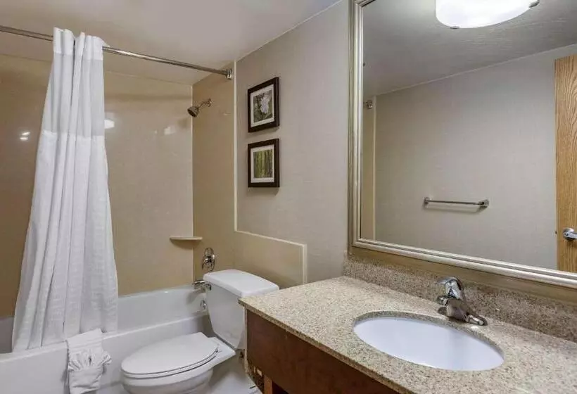 سوئیت با تخت بزرگ, Comfort Inn