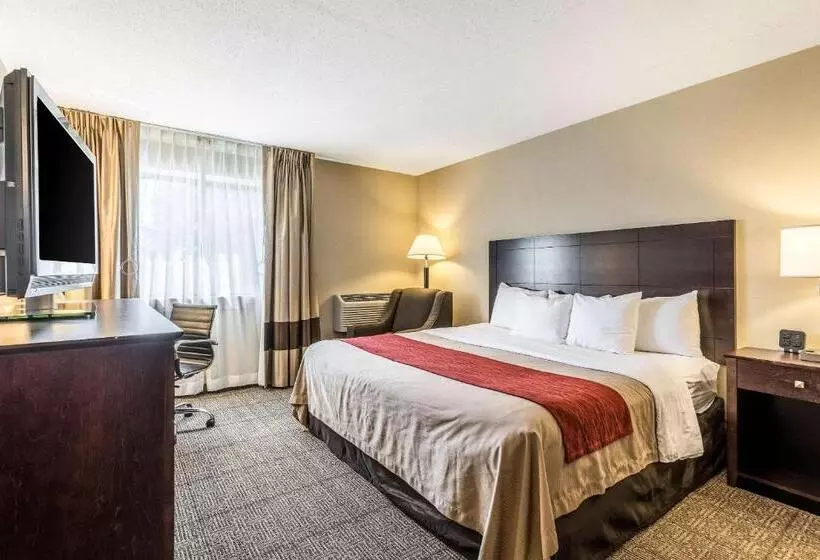 سوئیت با تخت بزرگ, Comfort Inn