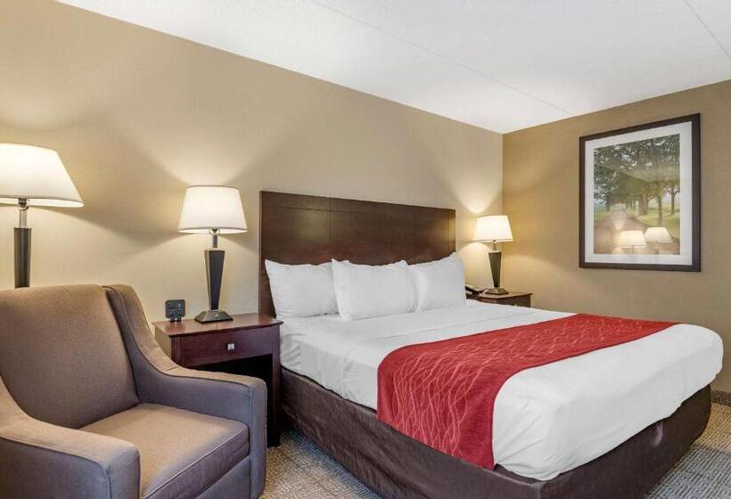 Люкс Кровать Кинг, Comfort Inn