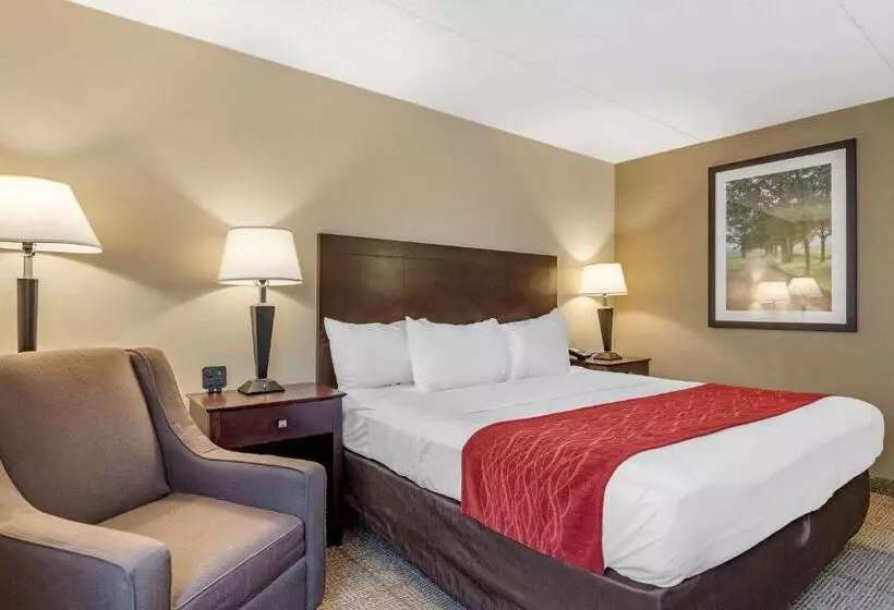 سوئیت با تخت بزرگ, Comfort Inn