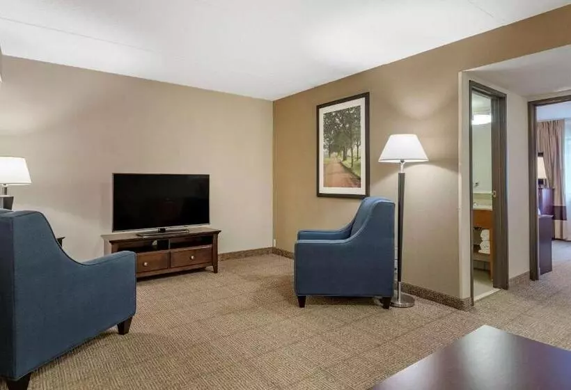 سوئیت با تخت بزرگ, Comfort Inn
