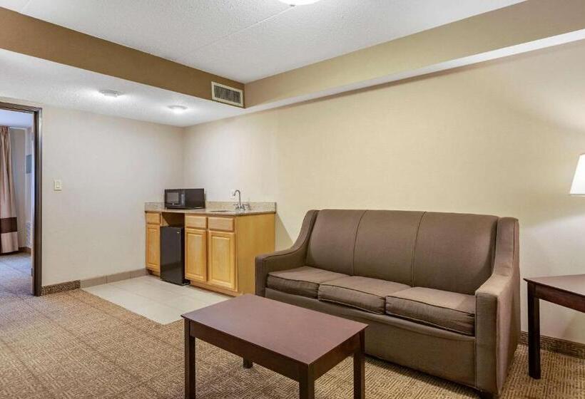 جناح سرير كينج, Comfort Inn