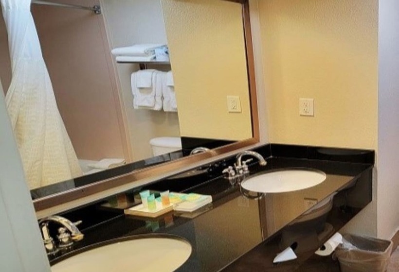 标准间, Galleria Palms Orlando   Free Theme Park Shuttles