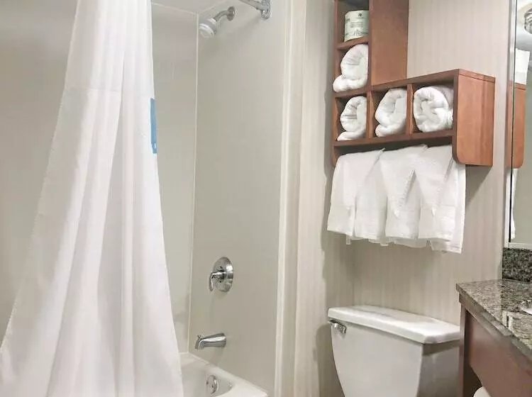 ２ダブルベッドのスタンダードルーム, Hampton Inn Athens