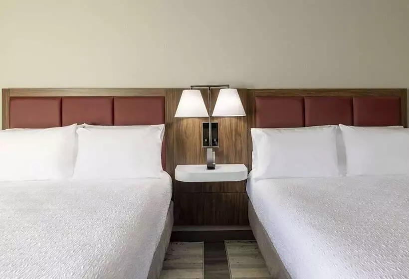 ２ダブルベッドのスタンダードルーム, Hampton Inn Athens