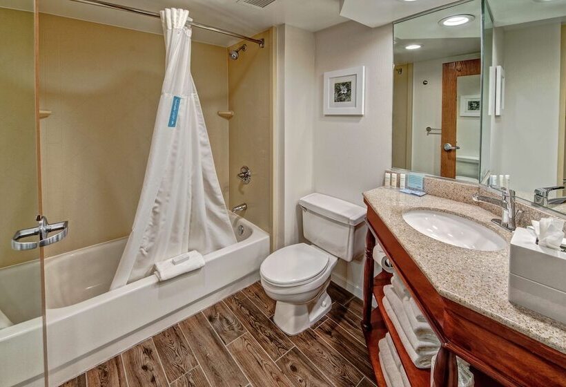 スタンダードルーム, Hampton Inn By Hilton Charlotte/matthews