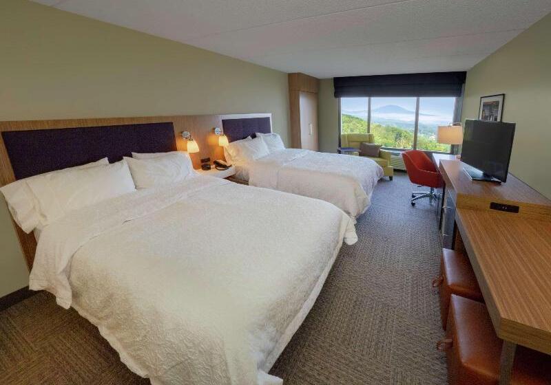 סטודיו סטנדרט עם נוף, Hampton Inn Hazleton