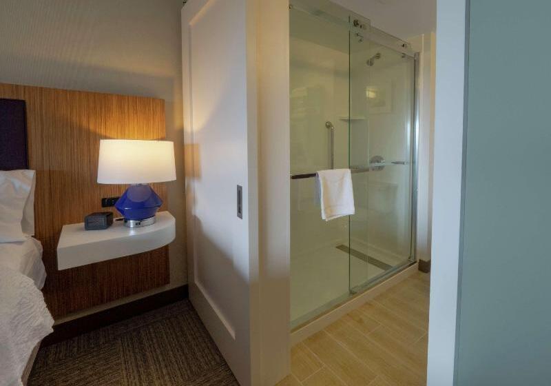 带观景的标准工作室, Hampton Inn Hazleton