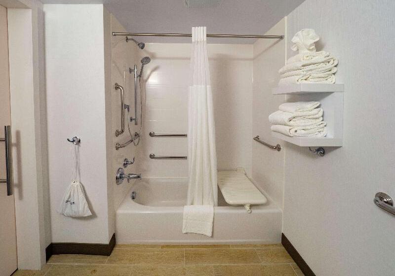 חדר סטנדרט עם מיטת קינג, Hampton Inn Hazleton