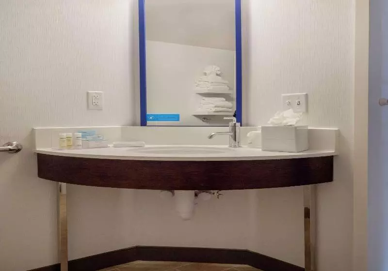 キングサイズベッドのスタンダードルーム, Hampton Inn Hazleton