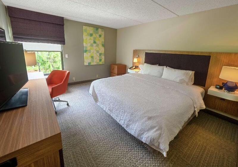חדר סטנדרט עם מיטת קינג, Hampton Inn Hazleton